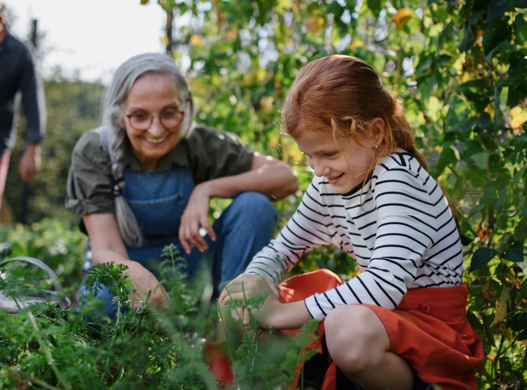 Family Gardening